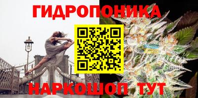 a pvp Кулебаки
