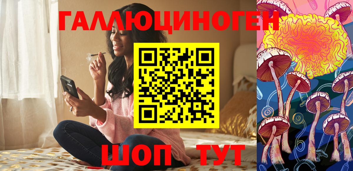 Гусев  Галлюциногенные грибы Psilocybine cubensis  Вход с VPN 