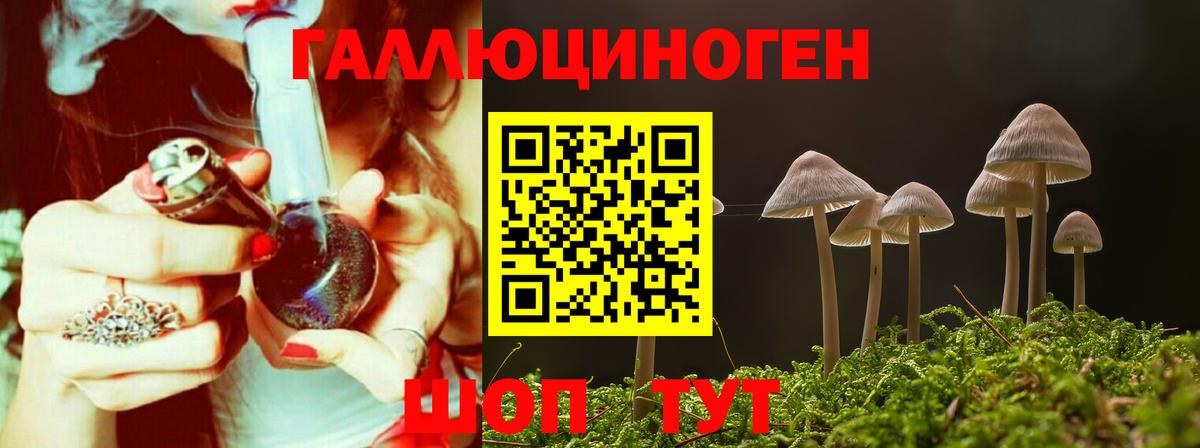 Псилоцибиновые грибы Cubensis Гусев
